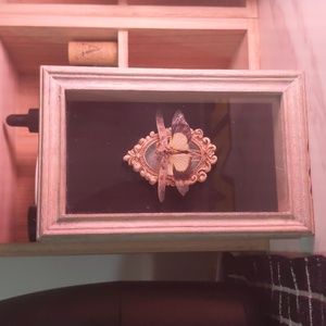 Preserved insect table accent